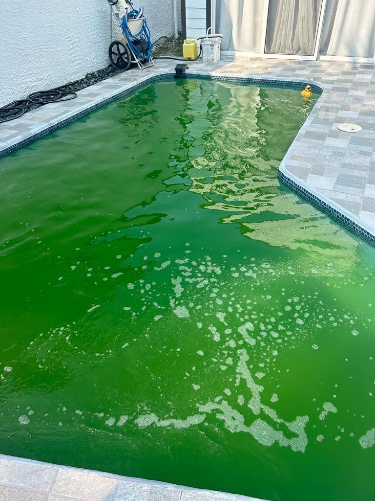 L-shaped pool before service