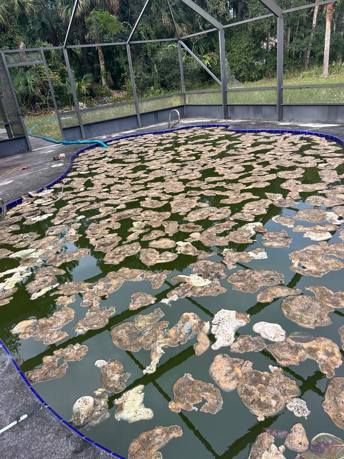 Large pool before service